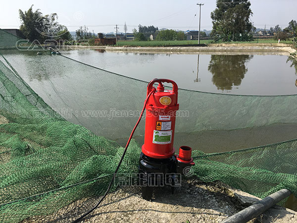 山東陳先生：魚(yú)塘清淤用雙刀切割泵耐用又給力！